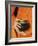 Thailand, Bangkok, Detail of Monk Holding Alms Bowl-Steve Vidler-Framed Photographic Print