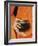 Thailand, Bangkok, Detail of Monk Holding Alms Bowl-Steve Vidler-Framed Photographic Print