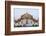 Thailand, Bangkok, Wat Benchamabophit aka The Marble Temple-Steve Vidler-Framed Photographic Print