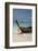 Thailand, Phuket, Island of Phi Phi Don. Traditional Longboat-Cindy Miller Hopkins-Framed Photographic Print