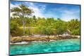 Premium Photographic Print