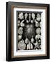 Thalamphora-Ernst Haeckel-Framed Art Print