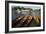 Thames Boats-Charles Bowman-Framed Photographic Print