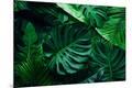 Premium Photographic Print