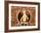 Thangka Depicting White Tara Goddess, Buddhist Symbol of Long Life, Bhaktapur, Nepal, Asia-Godong-Framed Photographic Print