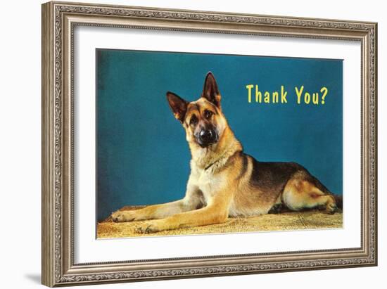 Thank You? Quizzical German Shepherd-null-Framed Art Print