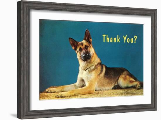 Thank You? Quizzical German Shepherd-null-Framed Art Print