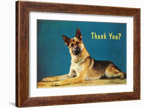 Thank You? Quizzical German Shepherd-null-Framed Art Print