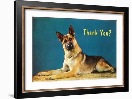 Thank You? Quizzical German Shepherd-null-Framed Art Print