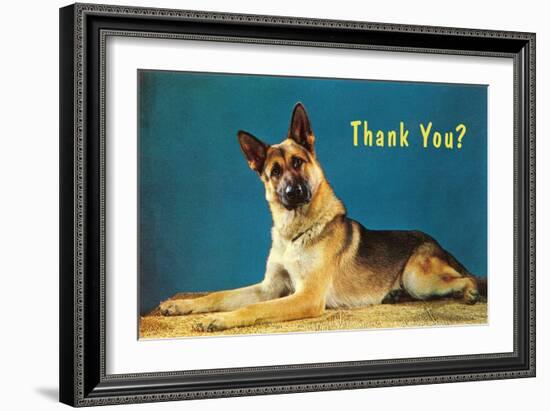 Thank You? Quizzical German Shepherd-null-Framed Art Print