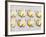 Thanksgiving Cookies-Tim Pannell-Framed Photographic Print