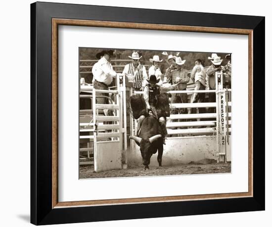 That Ain’t No Bull-Barry Hart-Framed Art Print