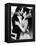 That Hamilton Woman, Laurence Olivier, Vivien Leigh, 1941-null-Framed Stretched Canvas