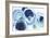 That's What I Like-Julie Hawkins-Framed Giclee Print