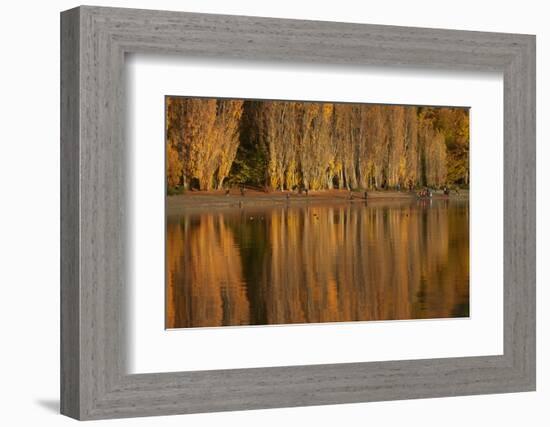 That Wanaka Tree', Lake Wanaka, Otago, South Island, New Zealand-David Wall-Framed Photographic Print