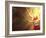 That Winning Sensation-null-Framed Photographic Print