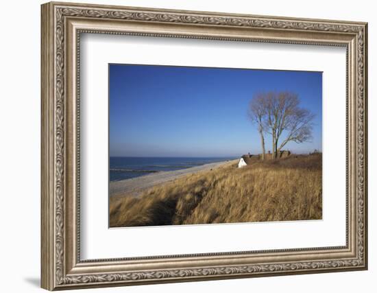 Thatched Beach House under the Big Poplars in Ahrenshoop-Uwe Steffens-Framed Photographic Print