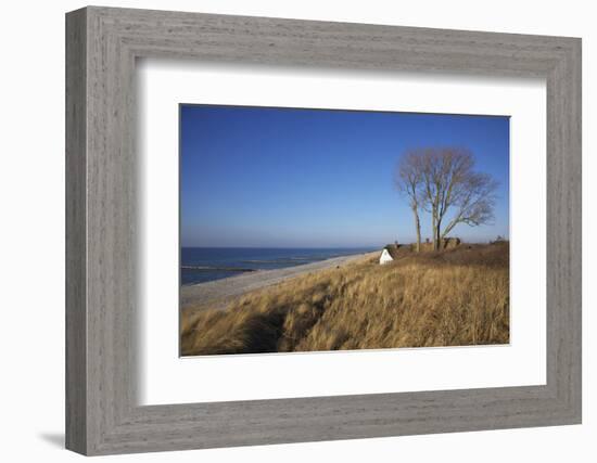 Thatched Beach House under the Big Poplars in Ahrenshoop-Uwe Steffens-Framed Photographic Print