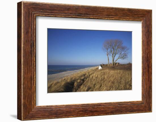 Thatched Beach House under the Big Poplars in Ahrenshoop-Uwe Steffens-Framed Photographic Print