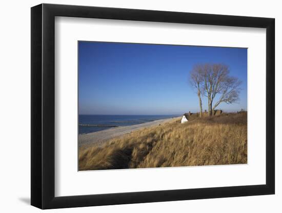 Thatched Beach House under the Big Poplars in Ahrenshoop-Uwe Steffens-Framed Photographic Print