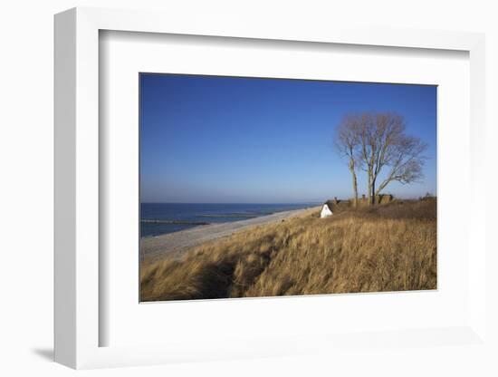 Thatched Beach House under the Big Poplars in Ahrenshoop-Uwe Steffens-Framed Photographic Print