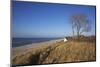 Thatched Beach House under the Big Poplars in Ahrenshoop-Uwe Steffens-Mounted Photographic Print