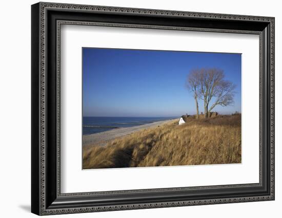 Thatched Beach House under the Big Poplars in Ahrenshoop-Uwe Steffens-Framed Photographic Print