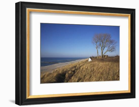 Thatched Beach House under the Big Poplars in Ahrenshoop-Uwe Steffens-Framed Photographic Print