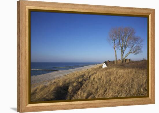 Thatched Beach House under the Big Poplars in Ahrenshoop-Uwe Steffens-Framed Premier Image Canvas