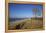 Thatched Beach House under the Big Poplars in Ahrenshoop-Uwe Steffens-Framed Premier Image Canvas