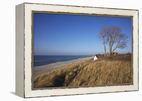 Thatched Beach House under the Big Poplars in Ahrenshoop-Uwe Steffens-Framed Premier Image Canvas
