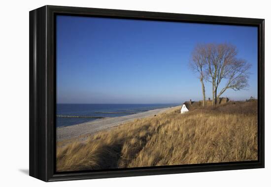 Thatched Beach House under the Big Poplars in Ahrenshoop-Uwe Steffens-Framed Premier Image Canvas