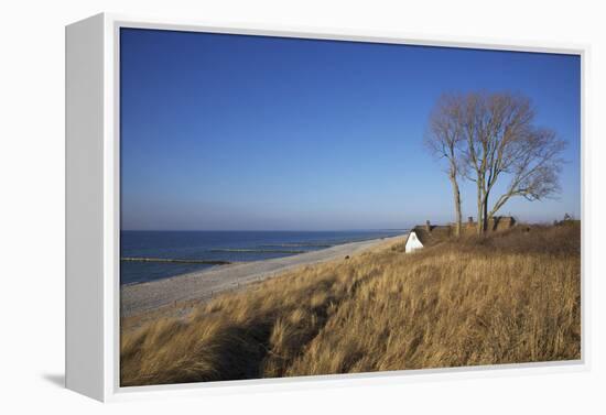 Thatched Beach House under the Big Poplars in Ahrenshoop-Uwe Steffens-Framed Premier Image Canvas