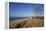 Thatched Beach House under the Big Poplars in Ahrenshoop-Uwe Steffens-Framed Premier Image Canvas