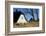 Thatched Beach House under the Big Poplars in Ahrenshoop-Uwe Steffens-Framed Photographic Print