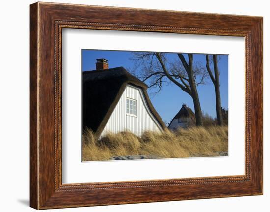 Thatched Beach House under the Big Poplars in Ahrenshoop-Uwe Steffens-Framed Photographic Print