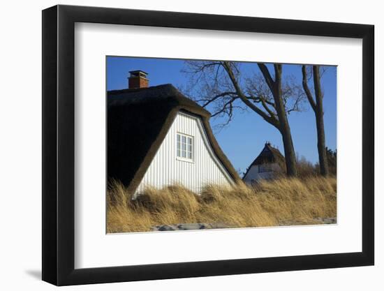 Thatched Beach House under the Big Poplars in Ahrenshoop-Uwe Steffens-Framed Photographic Print