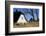 Thatched Beach House under the Big Poplars in Ahrenshoop-Uwe Steffens-Framed Photographic Print