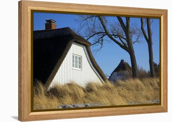 Thatched Beach House under the Big Poplars in Ahrenshoop-Uwe Steffens-Framed Premier Image Canvas