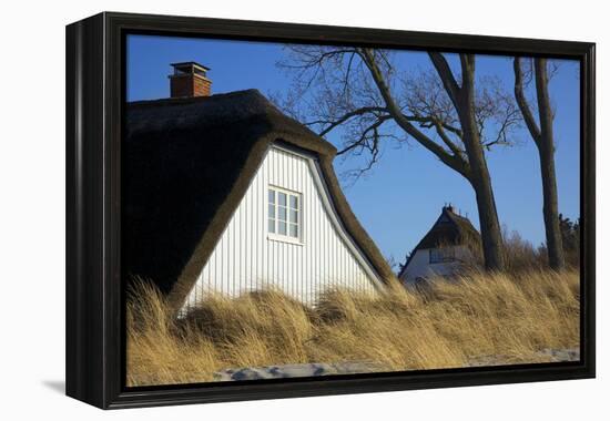 Thatched Beach House under the Big Poplars in Ahrenshoop-Uwe Steffens-Framed Premier Image Canvas