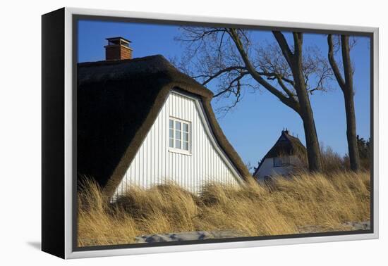 Thatched Beach House under the Big Poplars in Ahrenshoop-Uwe Steffens-Framed Premier Image Canvas