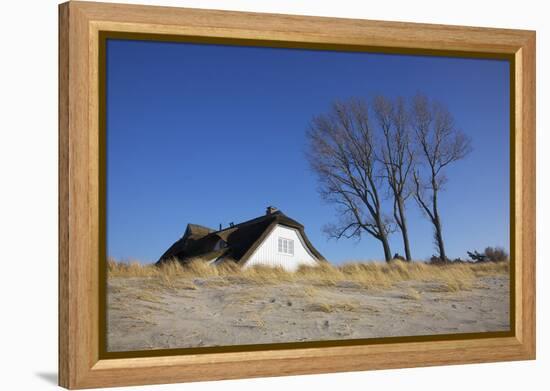 Thatched Beach House under the Big Poplars in Ahrenshoop-Uwe Steffens-Framed Premier Image Canvas