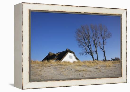 Thatched Beach House under the Big Poplars in Ahrenshoop-Uwe Steffens-Framed Premier Image Canvas