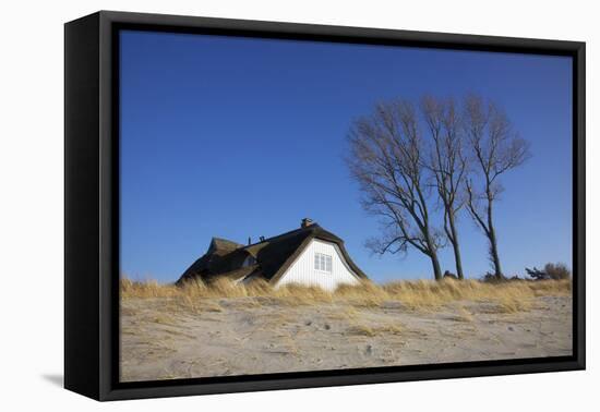 Thatched Beach House under the Big Poplars in Ahrenshoop-Uwe Steffens-Framed Premier Image Canvas