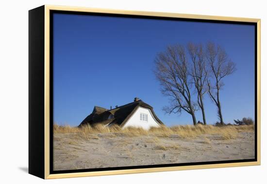 Thatched Beach House under the Big Poplars in Ahrenshoop-Uwe Steffens-Framed Premier Image Canvas