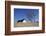 Thatched Beach House under the Big Poplars in Ahrenshoop-Uwe Steffens-Framed Photographic Print