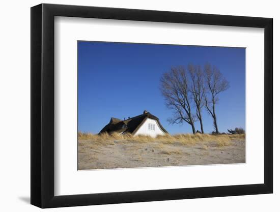 Thatched Beach House under the Big Poplars in Ahrenshoop-Uwe Steffens-Framed Photographic Print