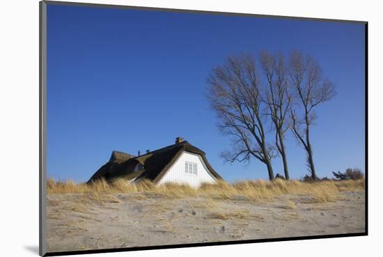 Thatched Beach House under the Big Poplars in Ahrenshoop-Uwe Steffens-Mounted Photographic Print