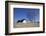 Thatched Beach House under the Big Poplars in Ahrenshoop-Uwe Steffens-Framed Photographic Print