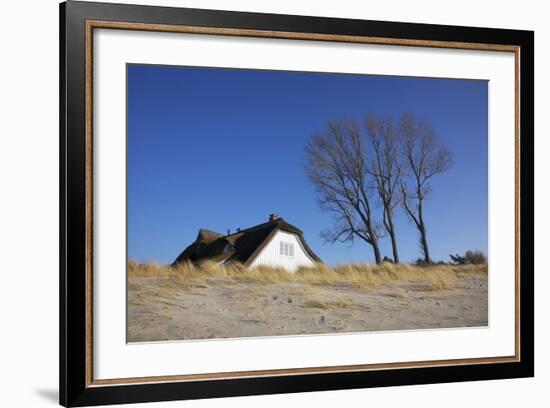 Thatched Beach House under the Big Poplars in Ahrenshoop-Uwe Steffens-Framed Photographic Print